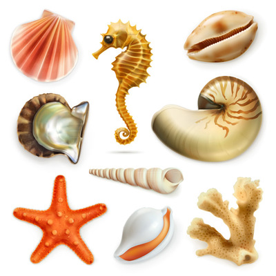 海洋生物矢量圖