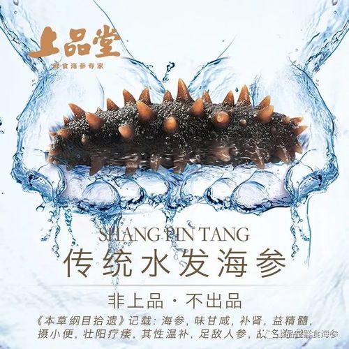 新華網(wǎng) 非上品,不出品 上品堂促進(jìn)海參產(chǎn)業(yè)升級(jí)