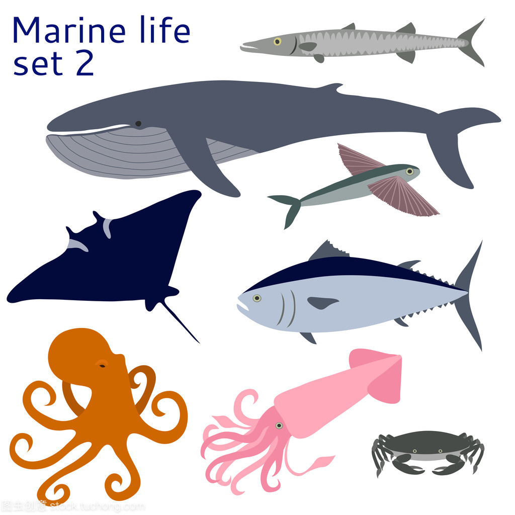 魚(yú)類(lèi)和其他海洋生物